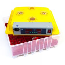 Говорун MS-60 інкубатор з регулятором вологості для будь-яких типів яєць
