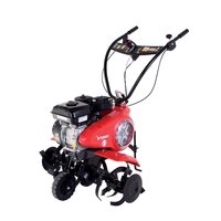 Мотоблок Pubert Power BS 6 HPIC