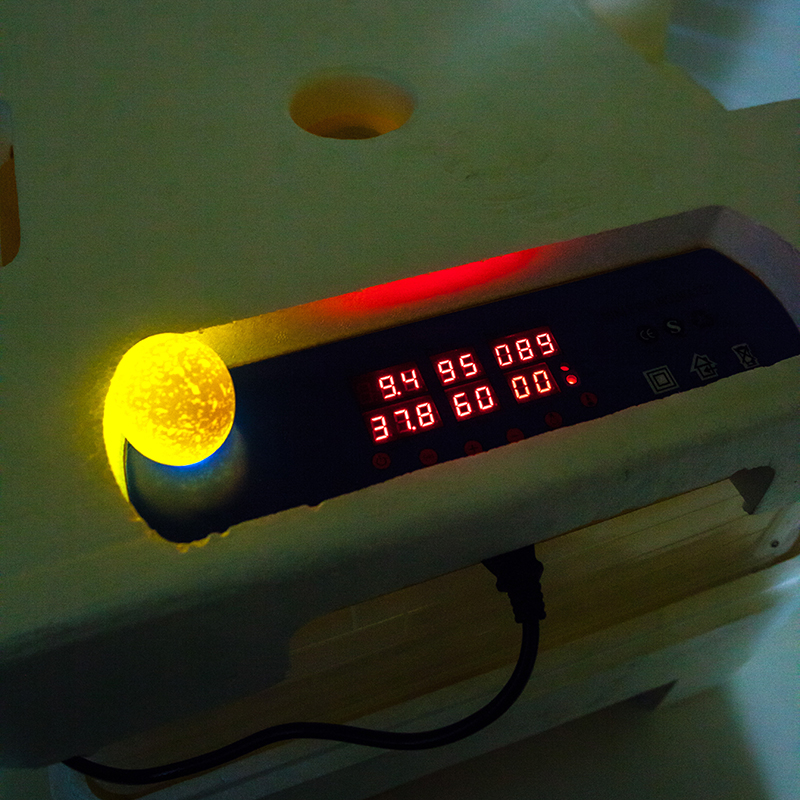 Говорун-112 інкубатор 12 В, 2х ярусний для будь-яких типів яєць з овоскопом