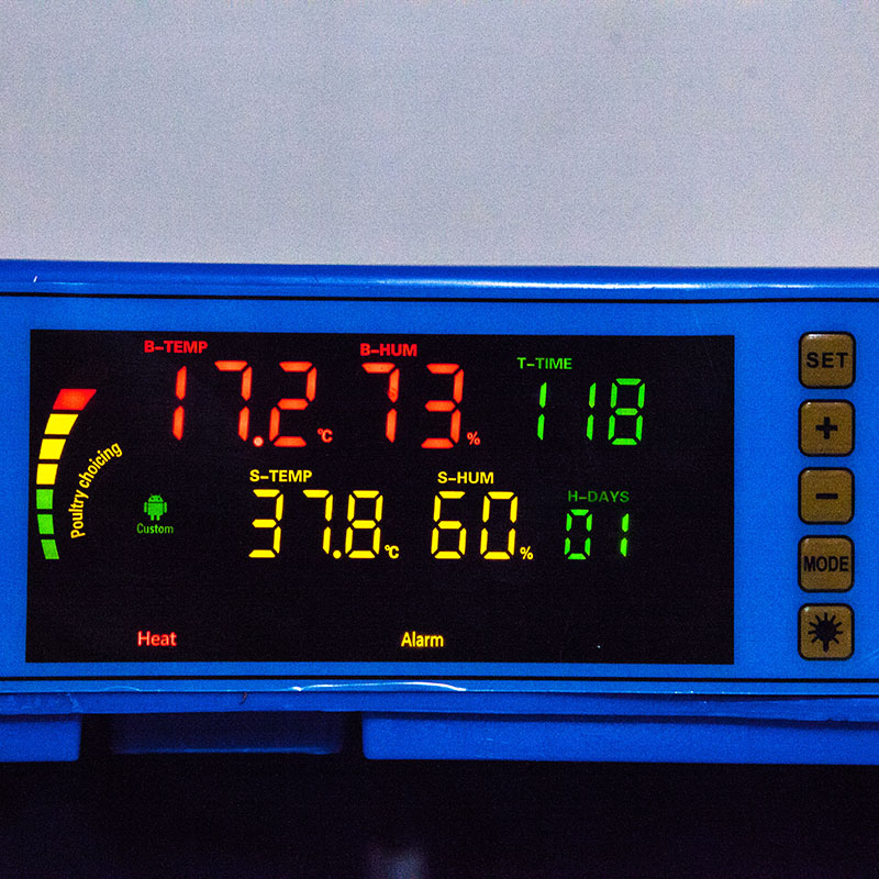 Говорун-64 инкубатор программируемый, роликовый поворот, с овоскопом
