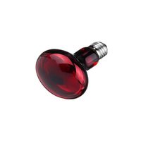 Лампа инфракрасная R80 100 Вт (R80 infrared bulb)