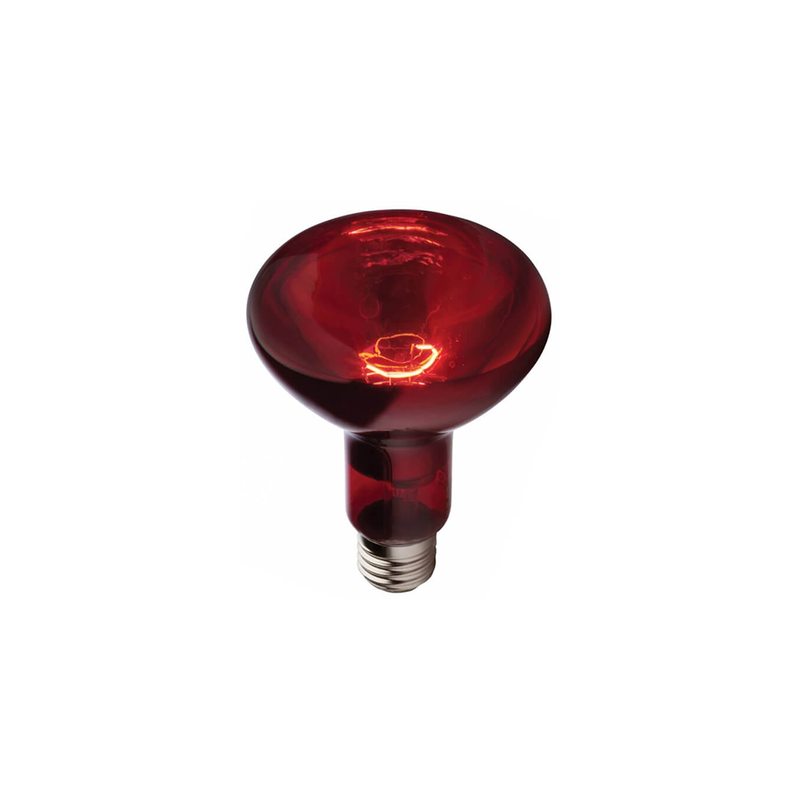 Лампа инфракрасная R80 100 Вт (R80 infrared bulb)