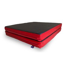 Мат книжка 200-100-10 см TIA-SPORT