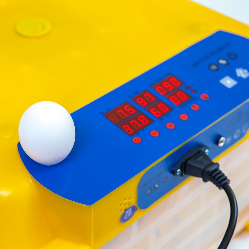 Говорун-48 инкубатор 12 В для любых типов яиц с овоскопом