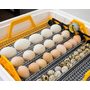 Теплуша Грин ИБ-88 12/50 ТАВ ТЭНовый автоматический 12в с влагомером инкубатор домашний для яиц