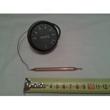 Термостат капиллярный FSTB 16А  Tmax = 75°С , длина капилляра 850мм    Турция